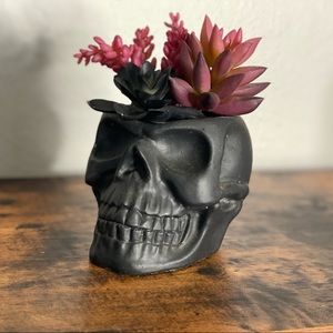 Skull table top decor. Faux plant. Lightly used.